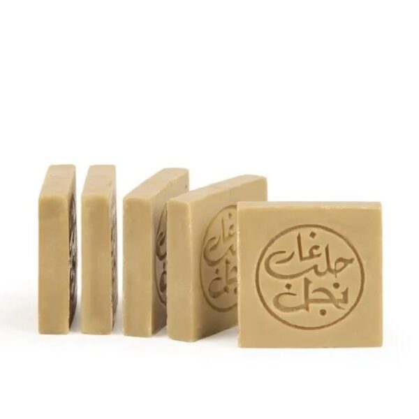 NAJEL 5%月桂油 5片旅行裝 阿勒坡手工古皂 100g (所有膚質適用)